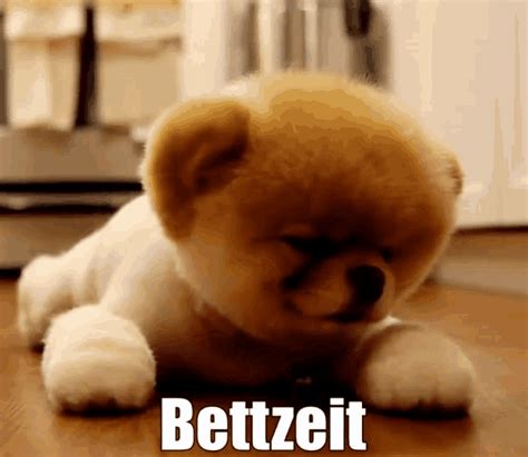 müde gif